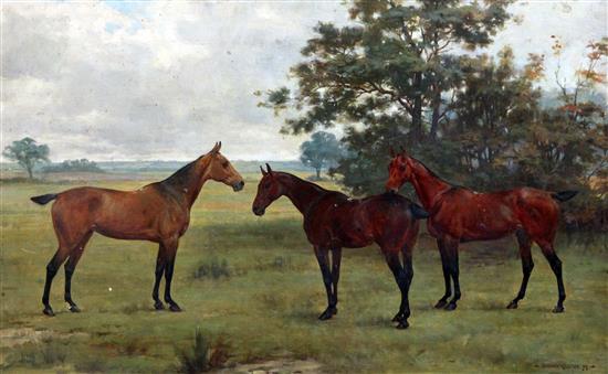 George Goodwin Kilburne (1839-1924) Portrait of three horses in a field, 15 x 24in.